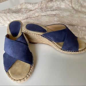 🌿Blue Wedge Hills